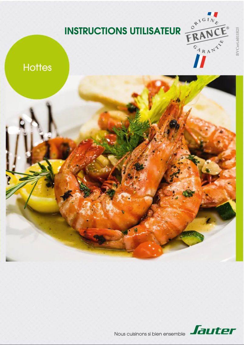 Page 1 de la notice Mode d'emploi Sauter SHR9902X