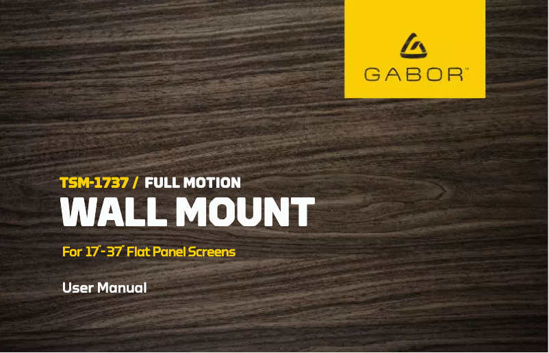 Image de la première page du manuel de l'appareil TSM-1737