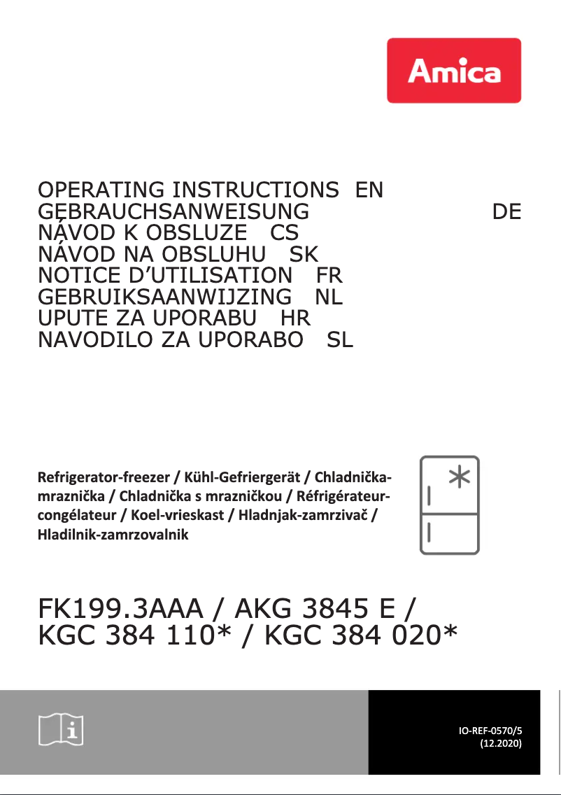 Page 1 de la notice Manuel utilisateur Amica AKG 3845 E
