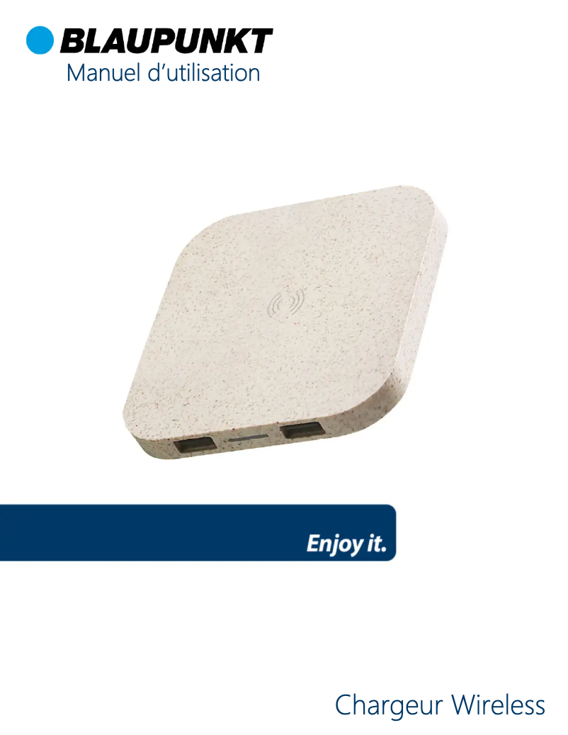 Page 1 de la notice Manuel utilisateur Blaupunkt BLP0232
