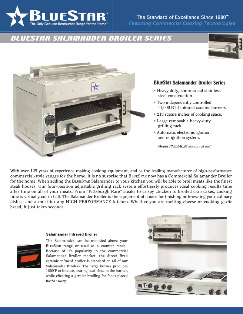 Page 1 de la notice Fiche technique BlueStar PRZSAL24V2
