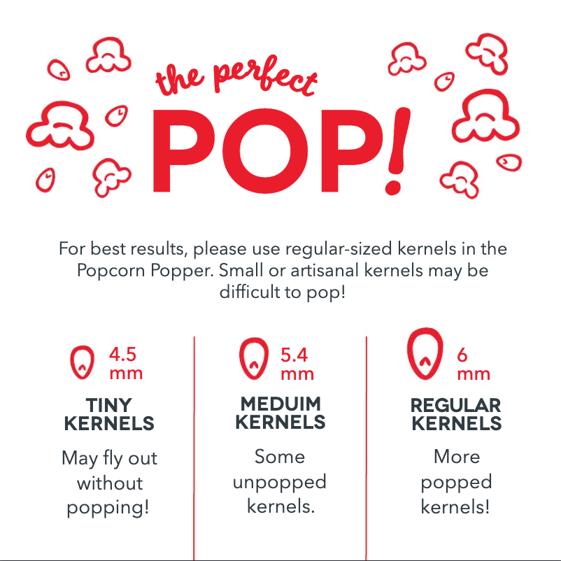 Image de la première page du manuel de l'appareil 2-in-1 Spill-Proof DSLT201GBRS06