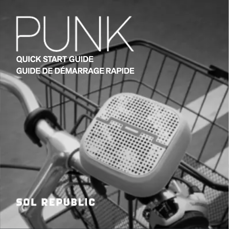 Image de la première page du manuel de l'appareil Punk
