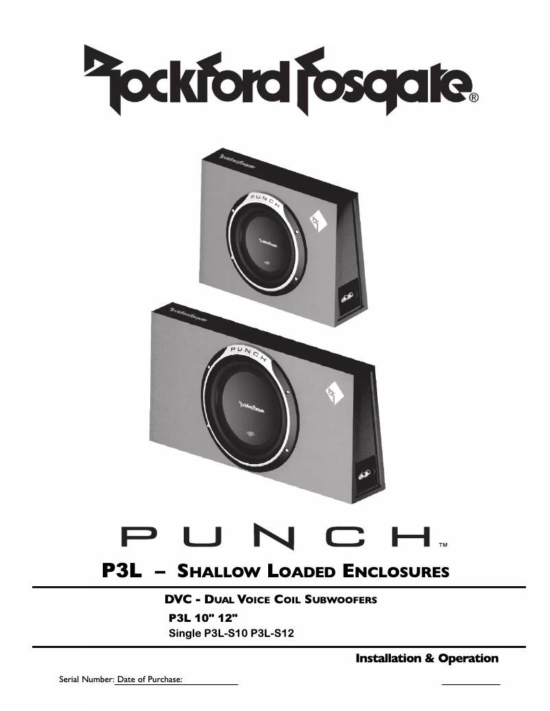 Image de la première page du manuel de l'appareil Punch P3L-S10