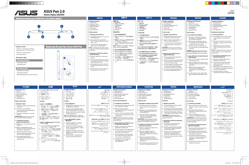 Image de la première page du manuel de l'appareil Pen 2.0 SA203H