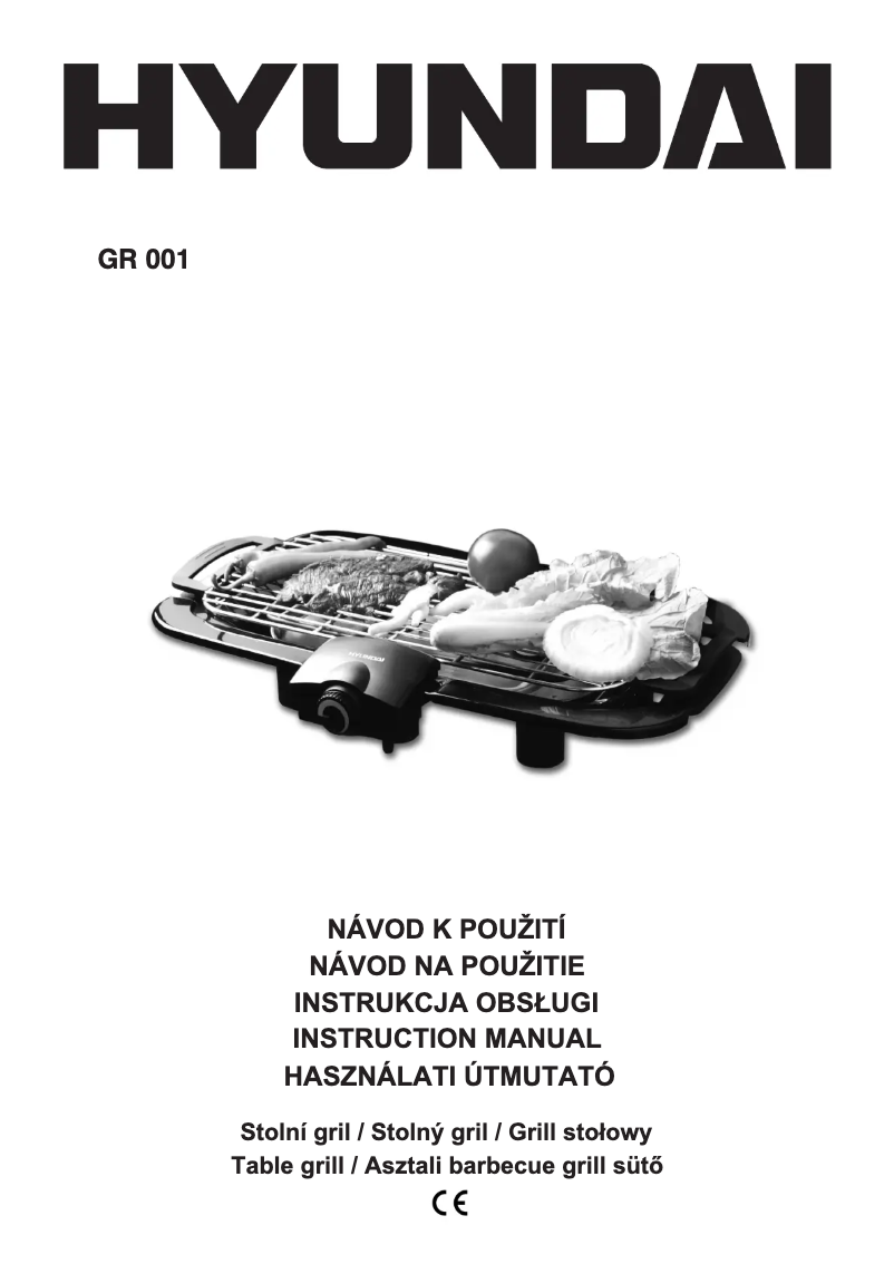 Page 1 de la notice Manuel utilisateur Hyundai GR 001