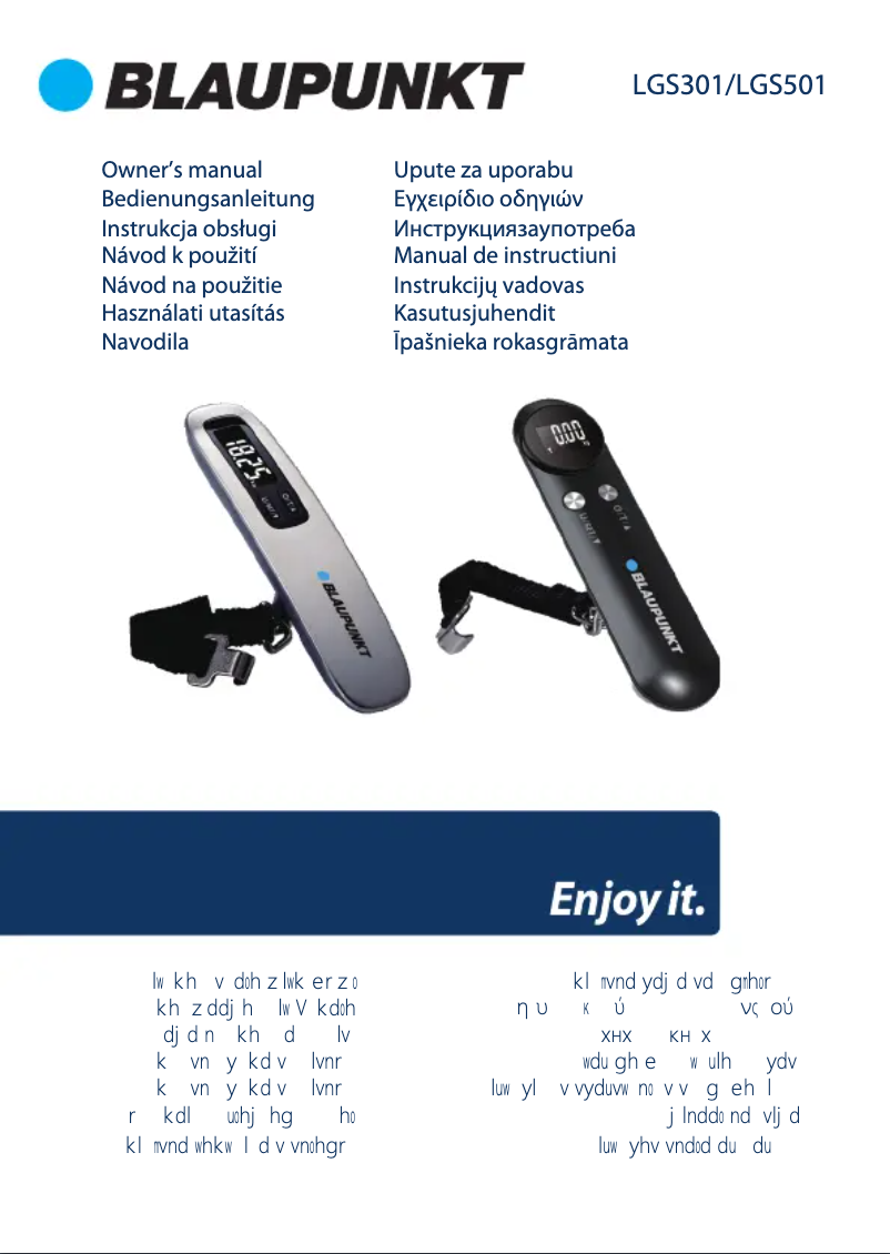 Page n°1 - Manuel utilisateur Blaupunkt LGS501