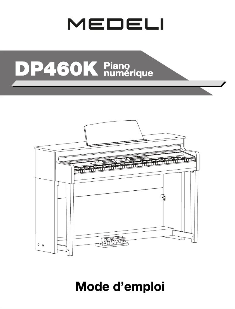 Imagen de la primera página del manual del dispositivo DP460K