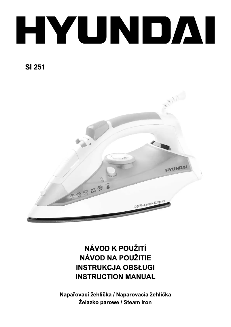 Page 1 de la notice Manuel utilisateur Hyundai SI 251