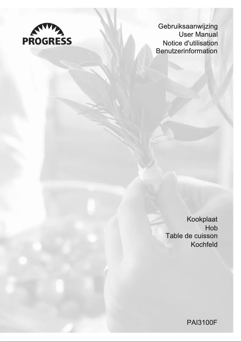 Imagen de la primera página del manual del dispositivo PAI3100F