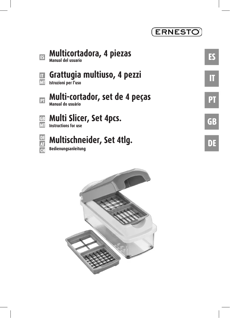 Page n°1 - Manuel utilisateur Ernesto IAN 113466