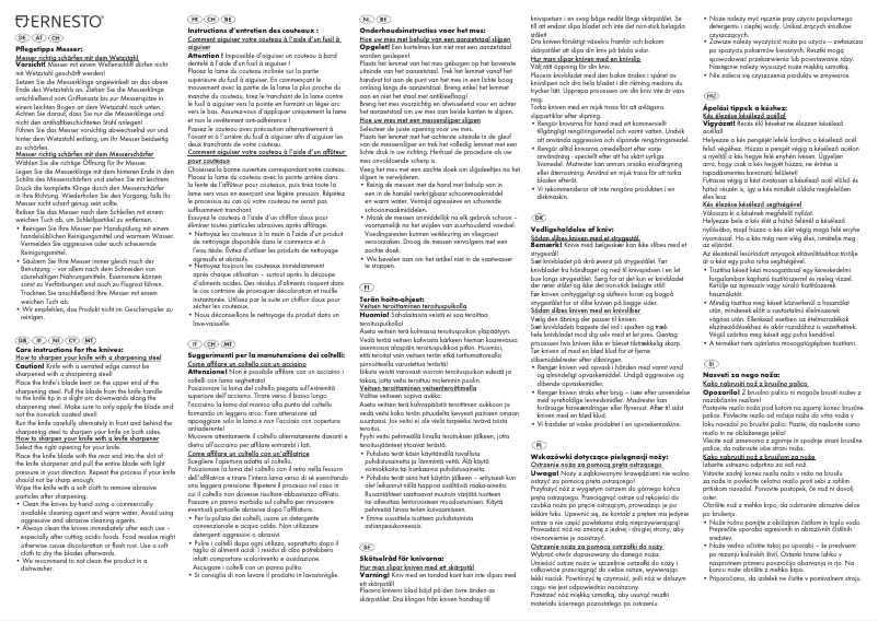 Page n°1 - Manuel utilisateur Ernesto HG00267A