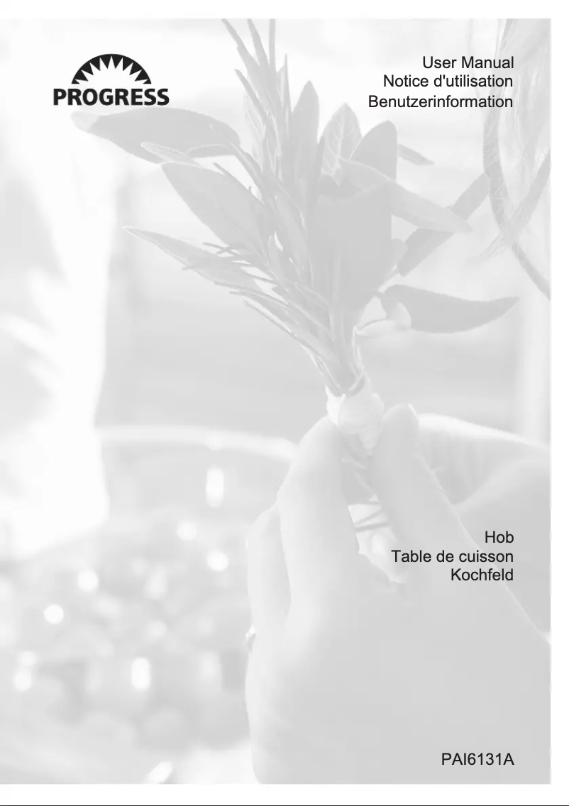 Image de la première page du manuel de l'appareil PAI6131A
