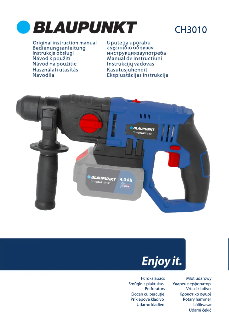 Image de la première page du manuel de l'appareil CH3010