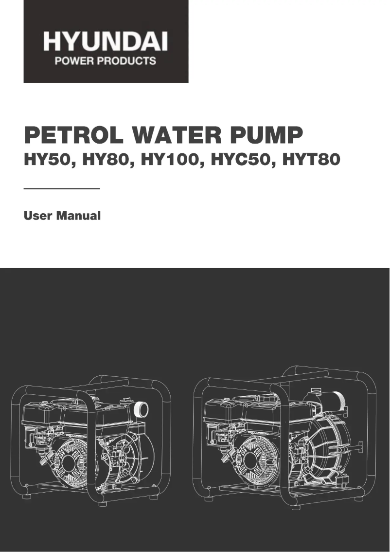 Page 1 de la notice Manuel utilisateur Hyundai HYT80