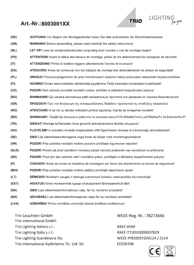 Page 1 de la notice Manuel utilisateur Trio Lighting Houston 800300132
