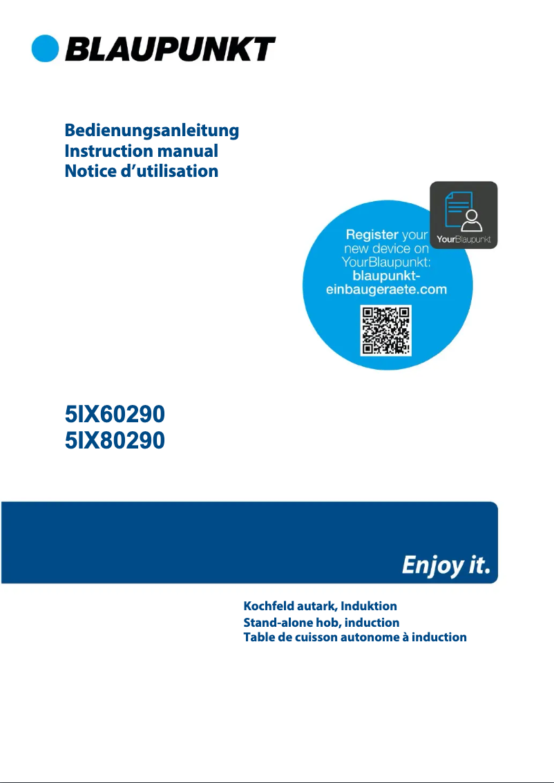 Page n°1 - Guide d'installation Blaupunkt 5IX60290