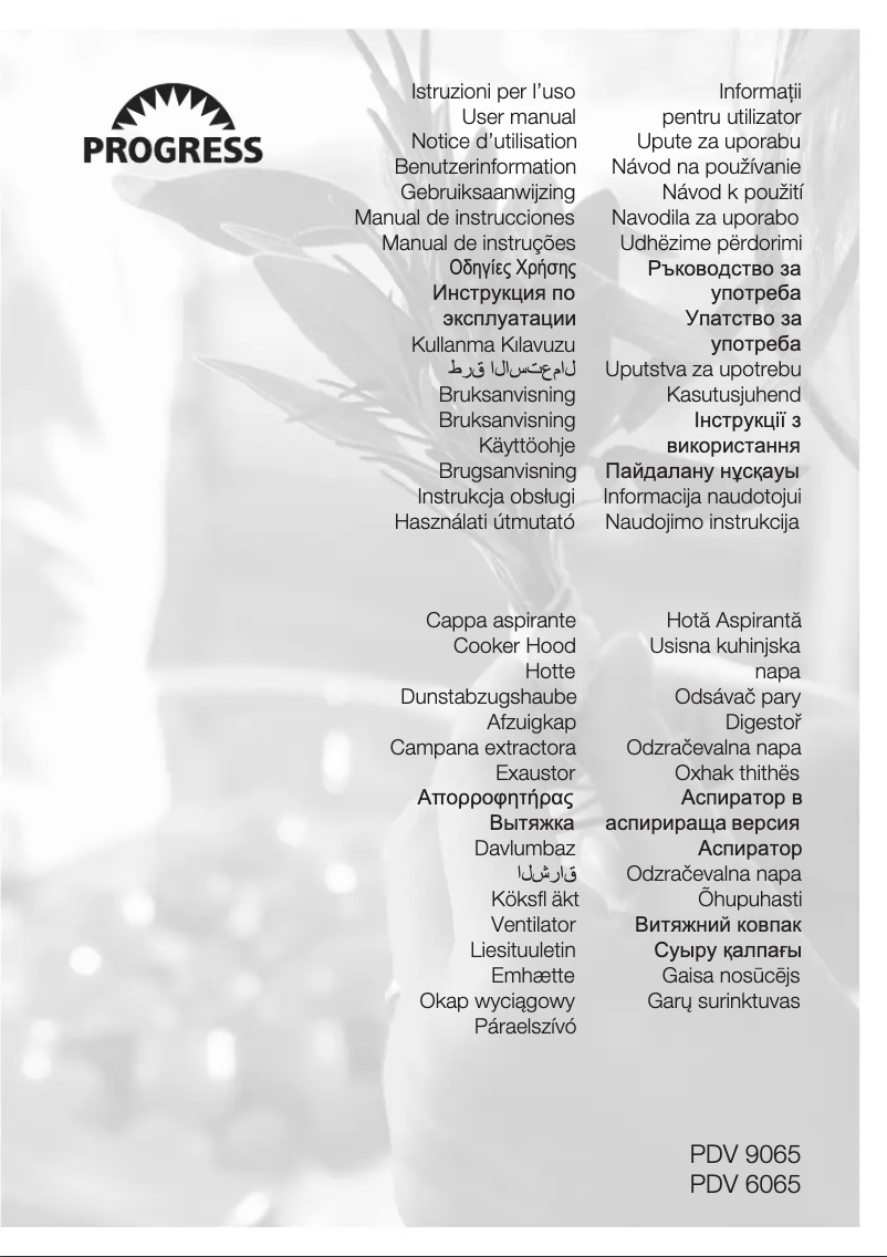 Page 1 de la notice Manuel utilisateur Progress PDV9065E