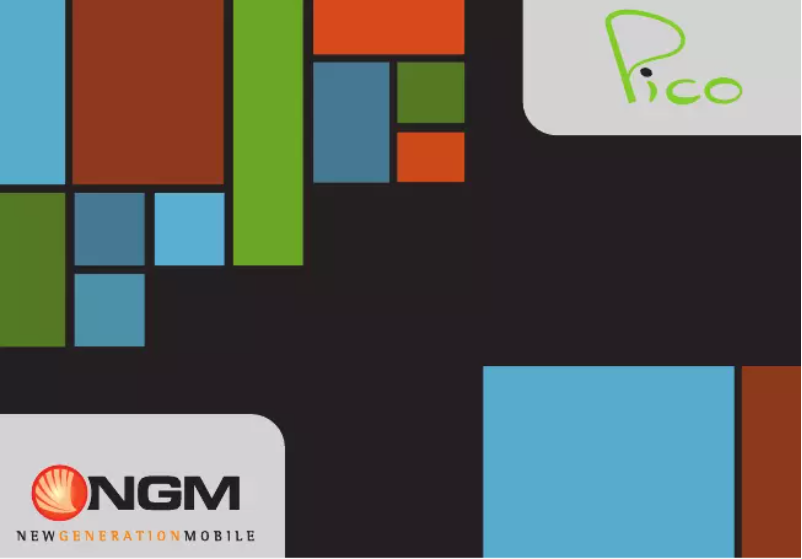 Imagen de la primera página del manual del dispositivo Pico