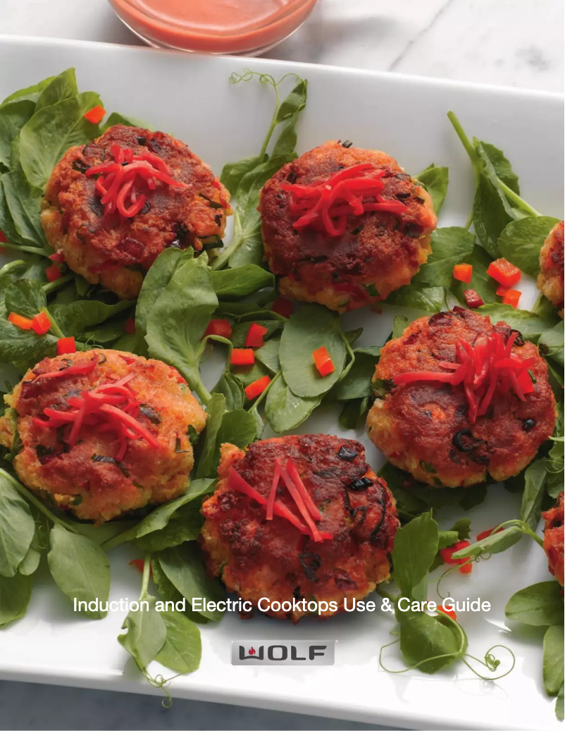 Page 1 de la notice Manuel utilisateur Wolf CE304CB