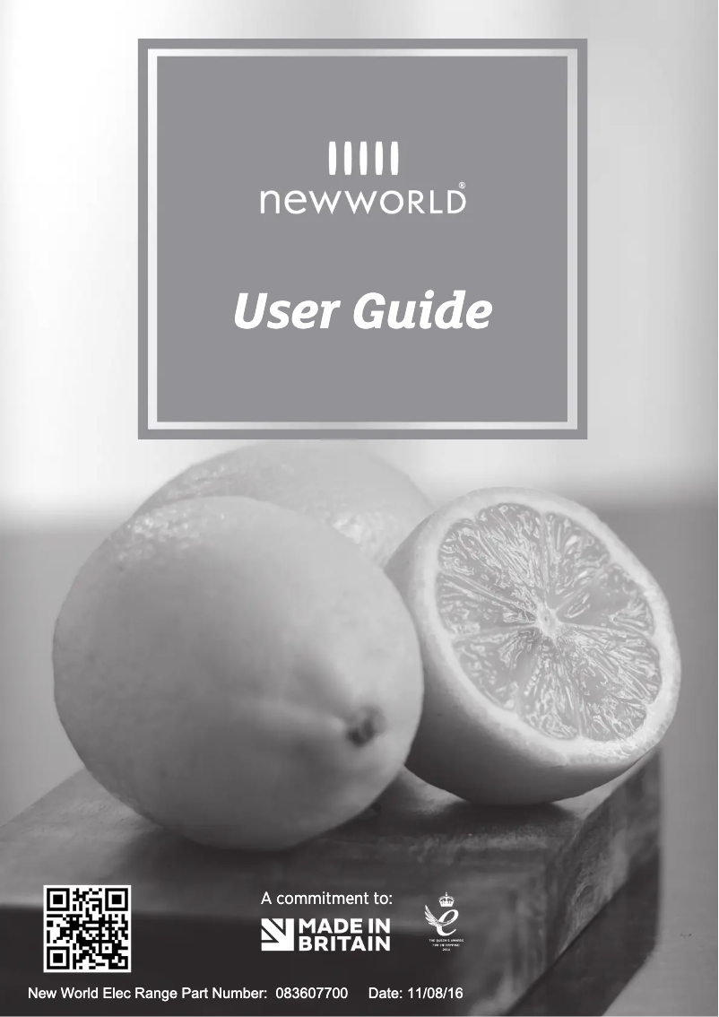 Page 1 de la notice Manuel utilisateur New World Vision 90E