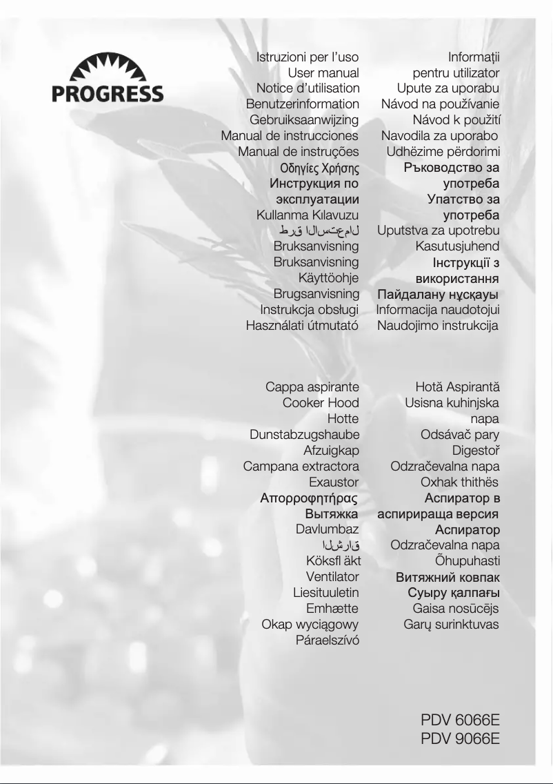 Página 1 del manual Manual de usuario Progress PDV6066E