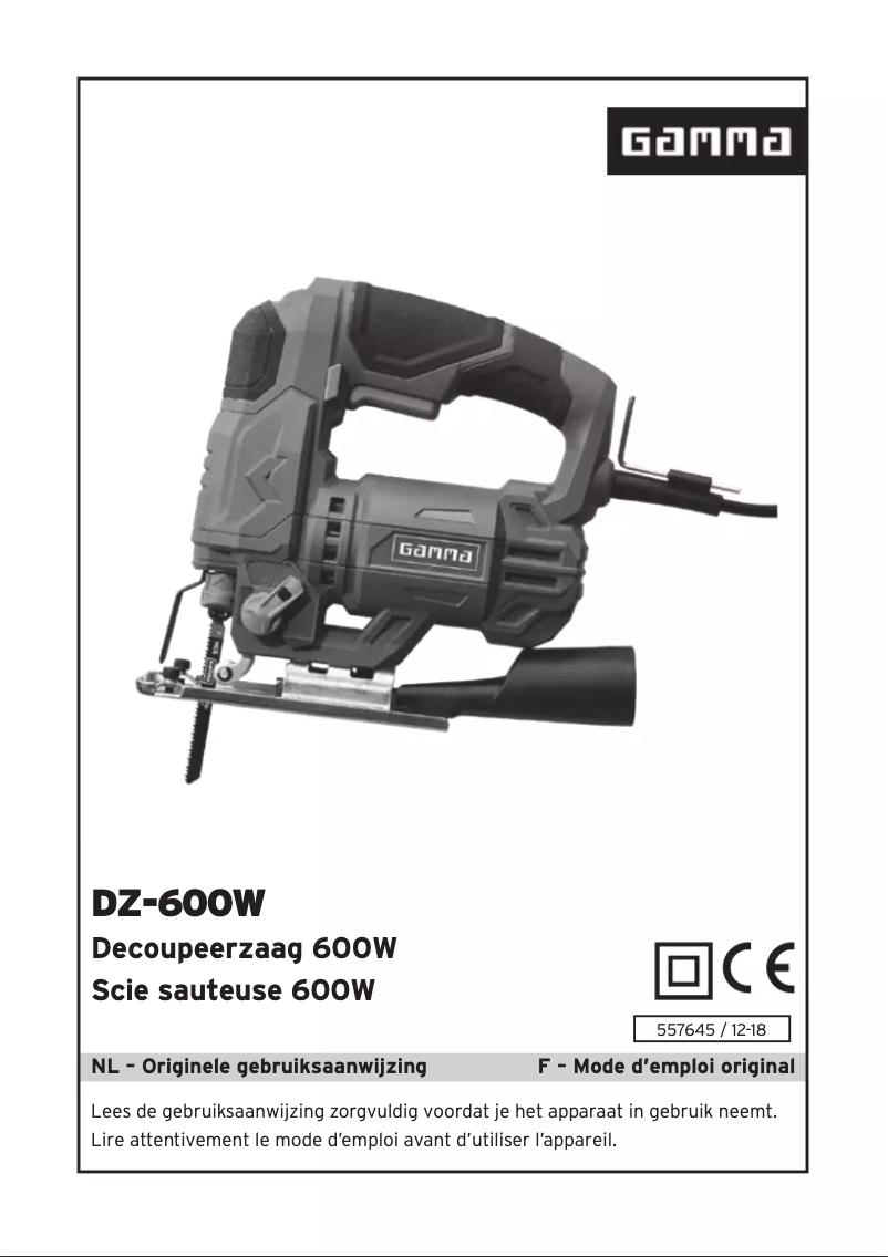 Image de la première page du manuel de l'appareil DZ-600W