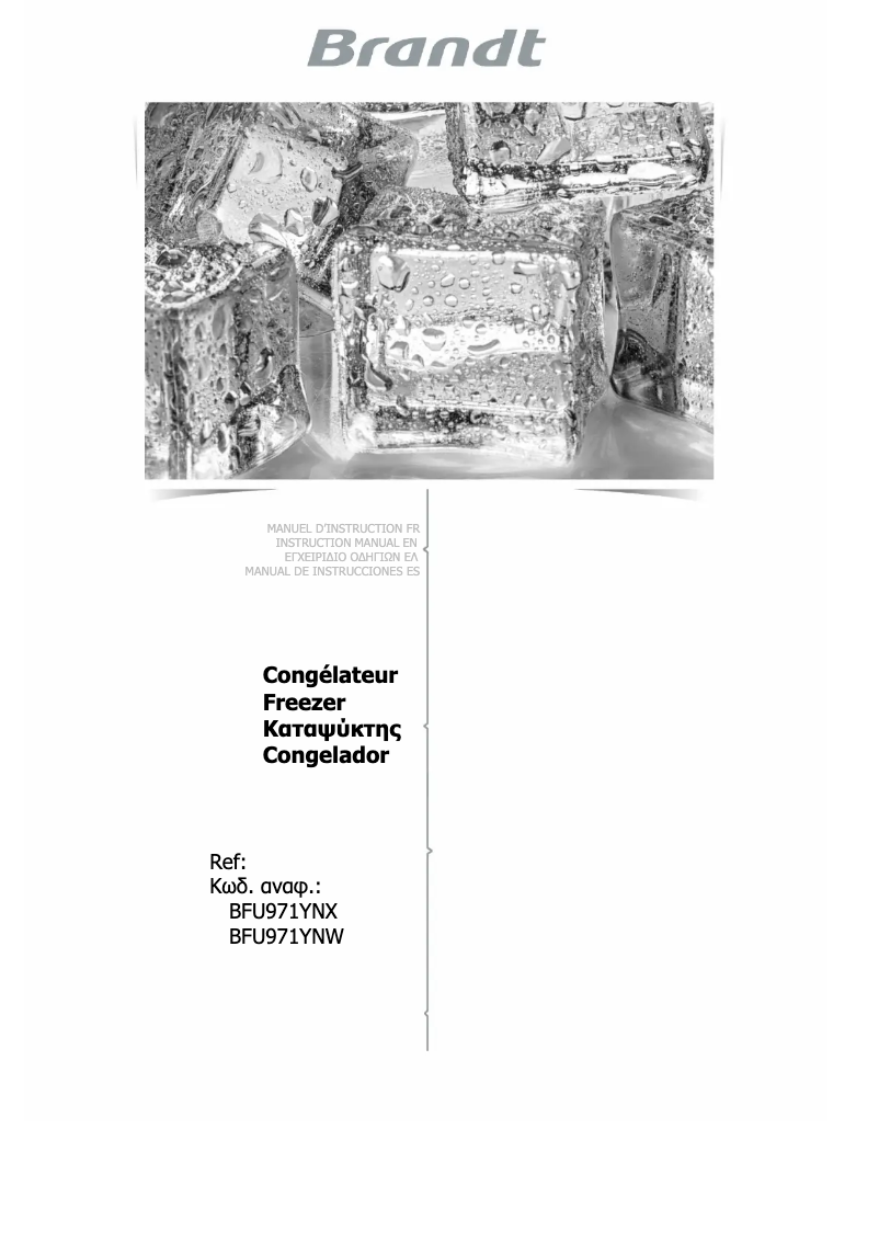 Image de la première page du manuel de l'appareil BFU971YNX