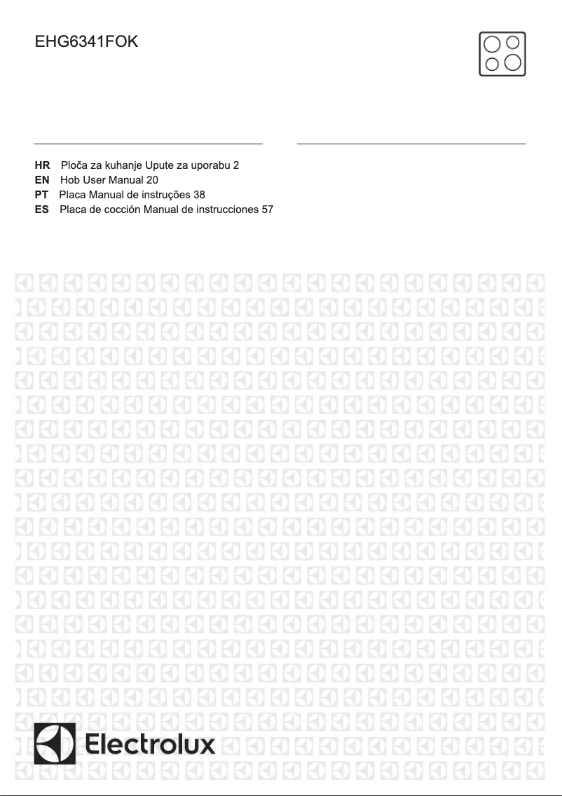 Image de la première page du manuel de l'appareil EHG6341FOK