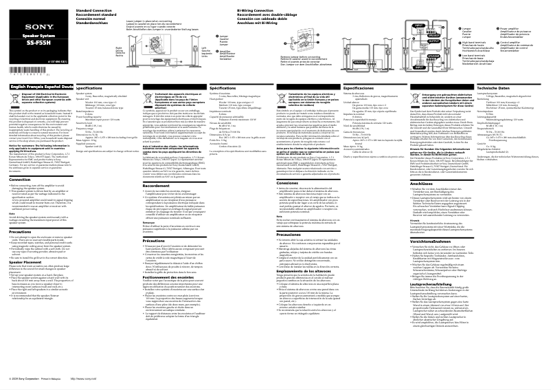 Image de la première page du manuel de l'appareil SS-F55H