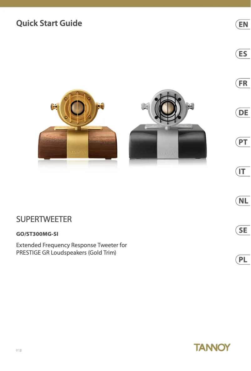 Image de la première page du manuel de l'appareil SUPERTWEETER ST300MG-SI