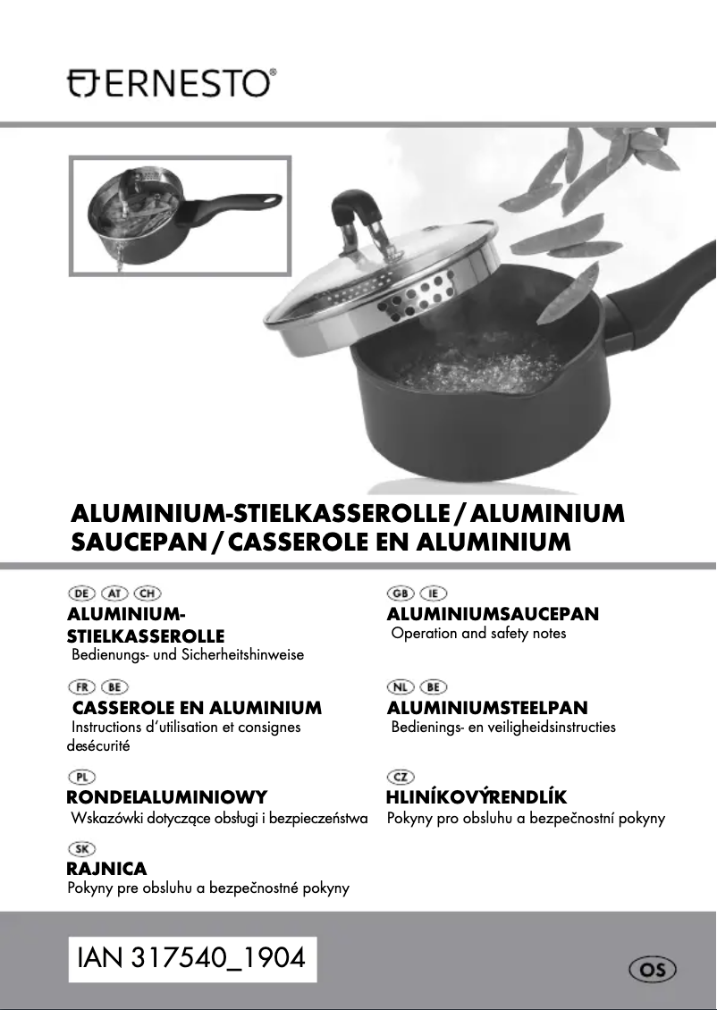 Page 1 de la notice Manuel utilisateur Ernesto IAN 305784