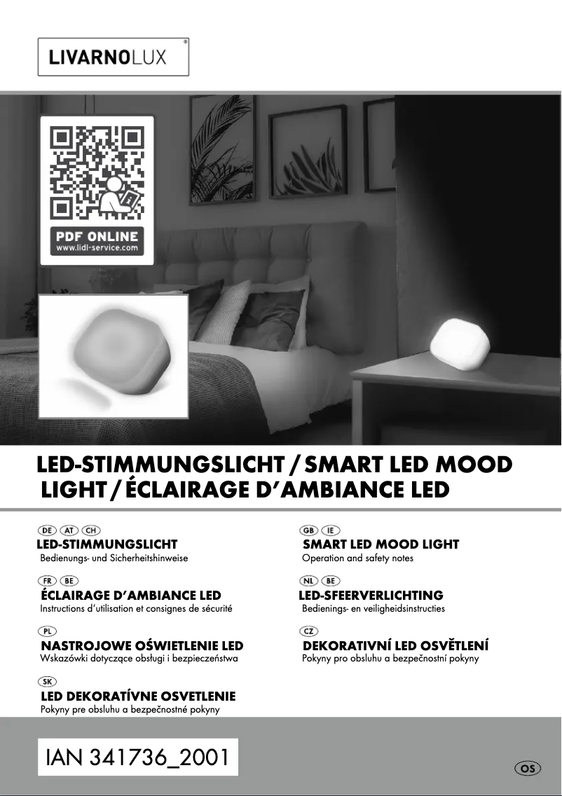 Page 1 de la notice Manuel utilisateur Livarno Lux 14148906L