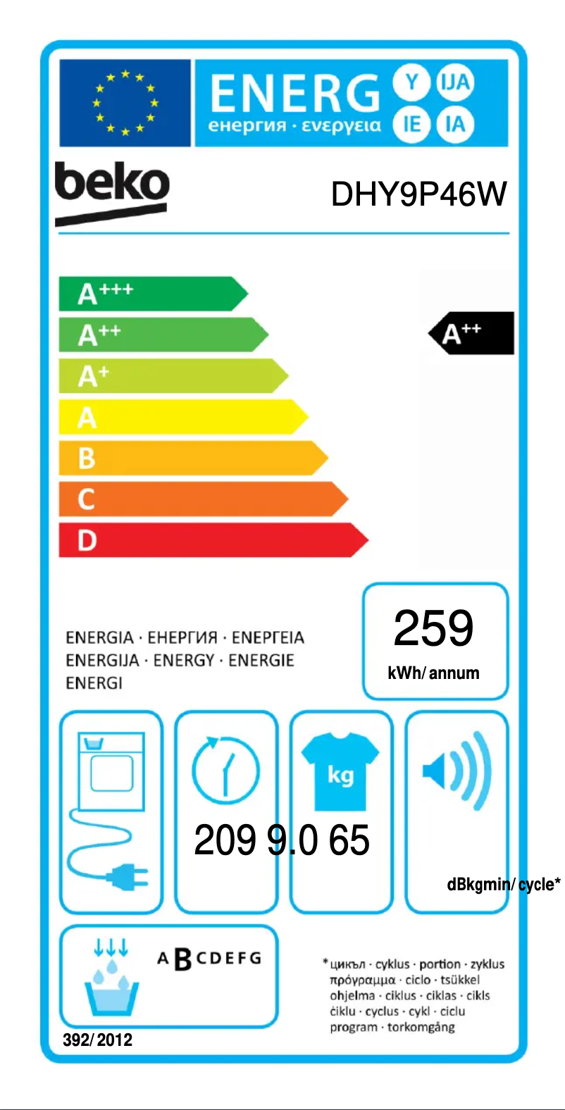 Image de la première page du manuel de l'appareil DHY9P46W