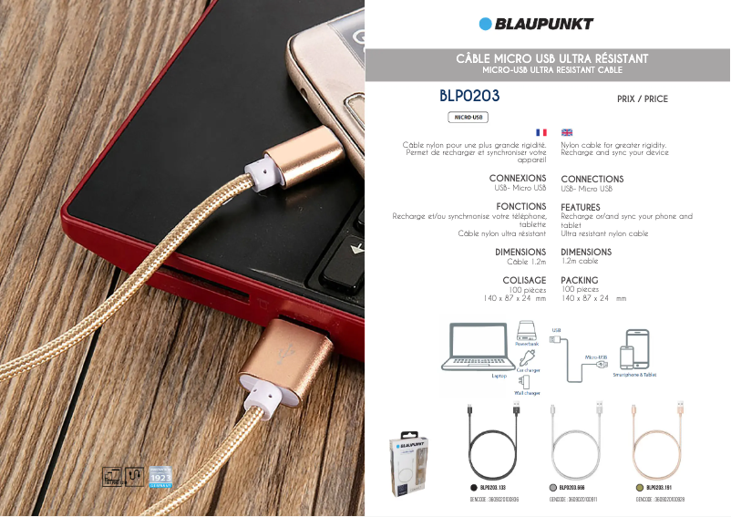 Page 1 de la notice Manuel utilisateur Blaupunkt BLP0203