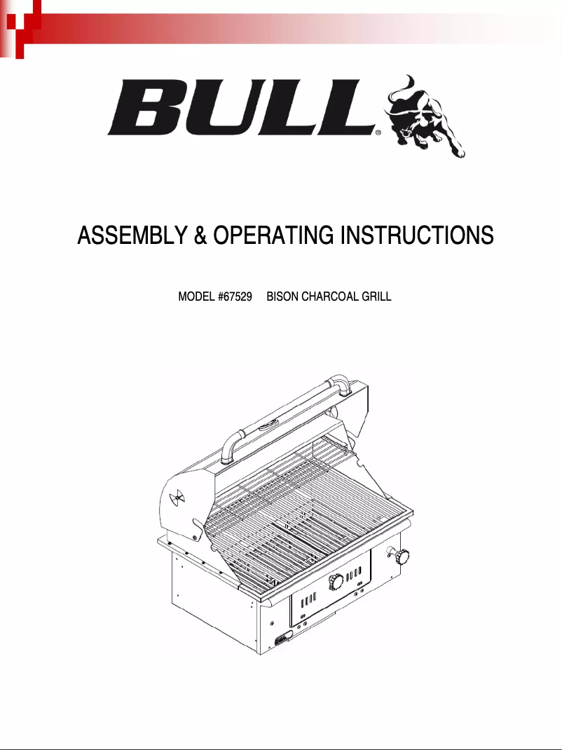 Page n°1 - Manuel utilisateur Bull Bison 67529