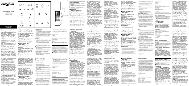 Page n°1 - Manuel utilisateur Ansmann Daily Use 300B