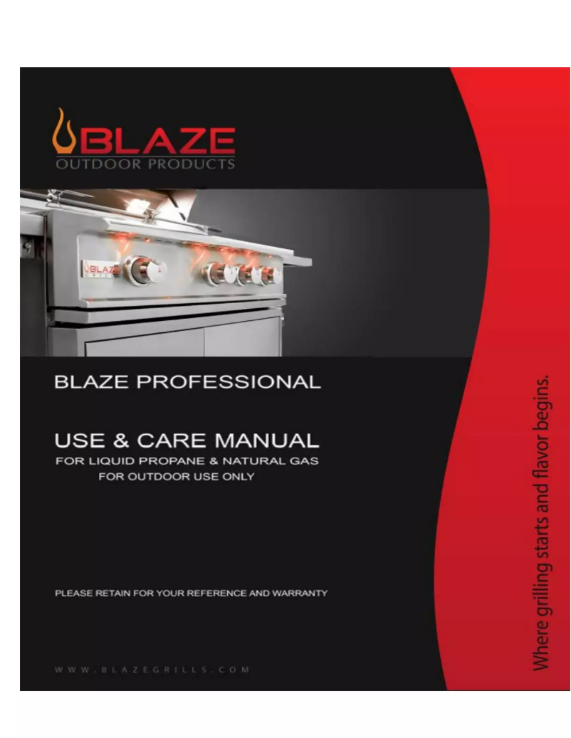 Page n°1 - Manuel utilisateur Blaze Professional BLZ-2PRO-NG