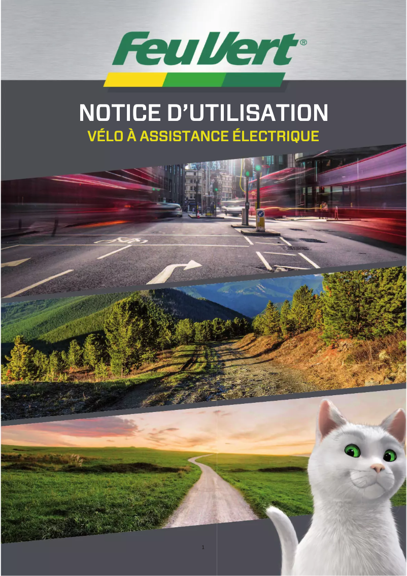 Page 1 de la notice Manuel utilisateur Feu Vert Max