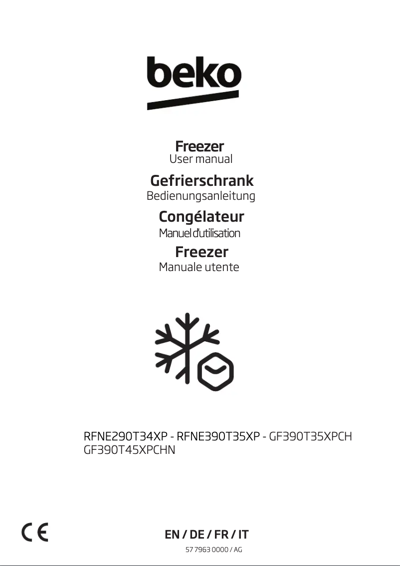 Image de la première page du manuel de l'appareil GF390T45XPCHN