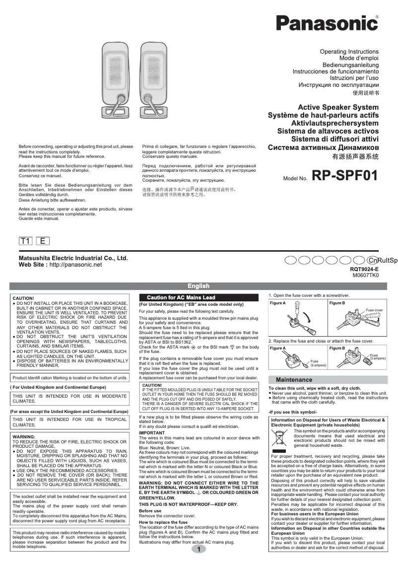 Page 1 de la notice Manuel utilisateur Panasonic RP-SPF01