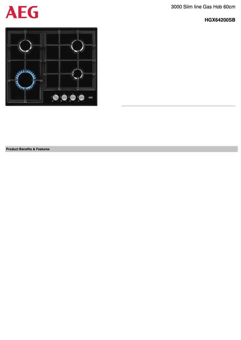 Page 1 de la notice Fiche technique AEG HGX64200SB
