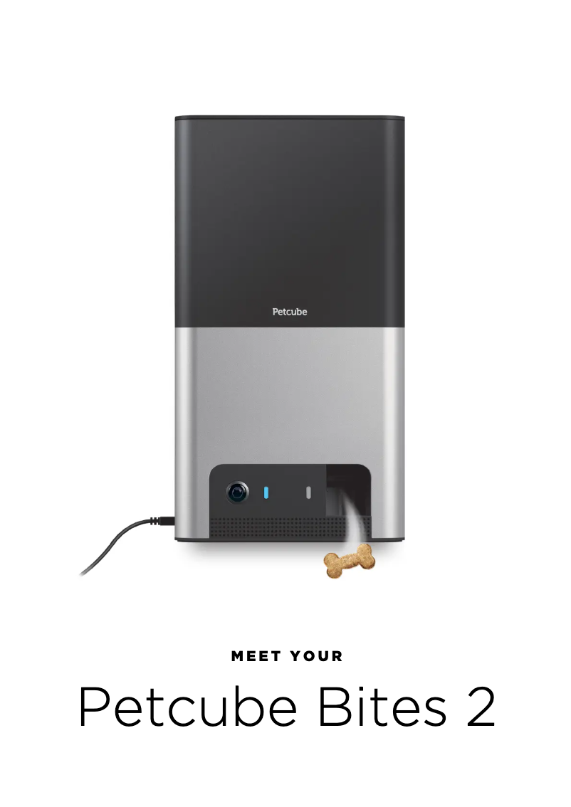 Image de la première page du manuel de l'appareil Bites 2 Lite