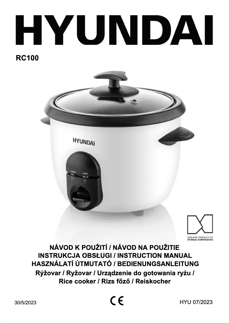 Page 1 de la notice Manuel utilisateur Hyundai RC 100 B