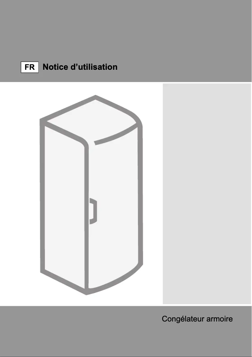 Image de la première page du manuel de l'appareil F6181AW
