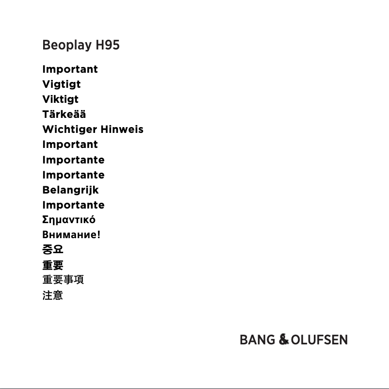 Page n°1 - Instructions de sécurité Bang & Olufsen Beoplay H95