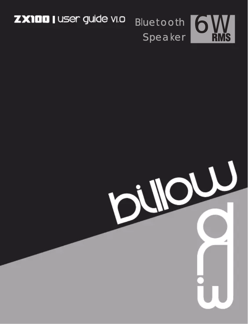 Page n°1 - Manuel utilisateur Billow ZX100
