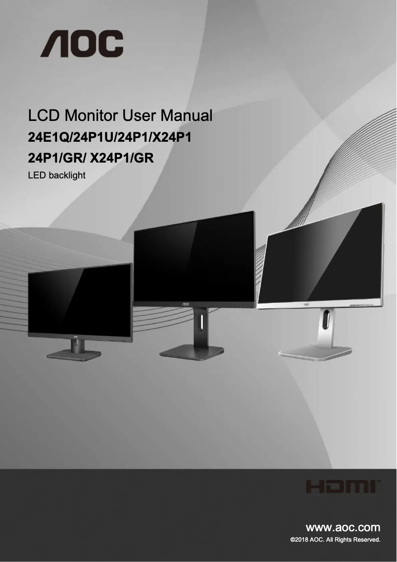 Page 1 de la notice Label énergétique AOC Pro-line X24P1