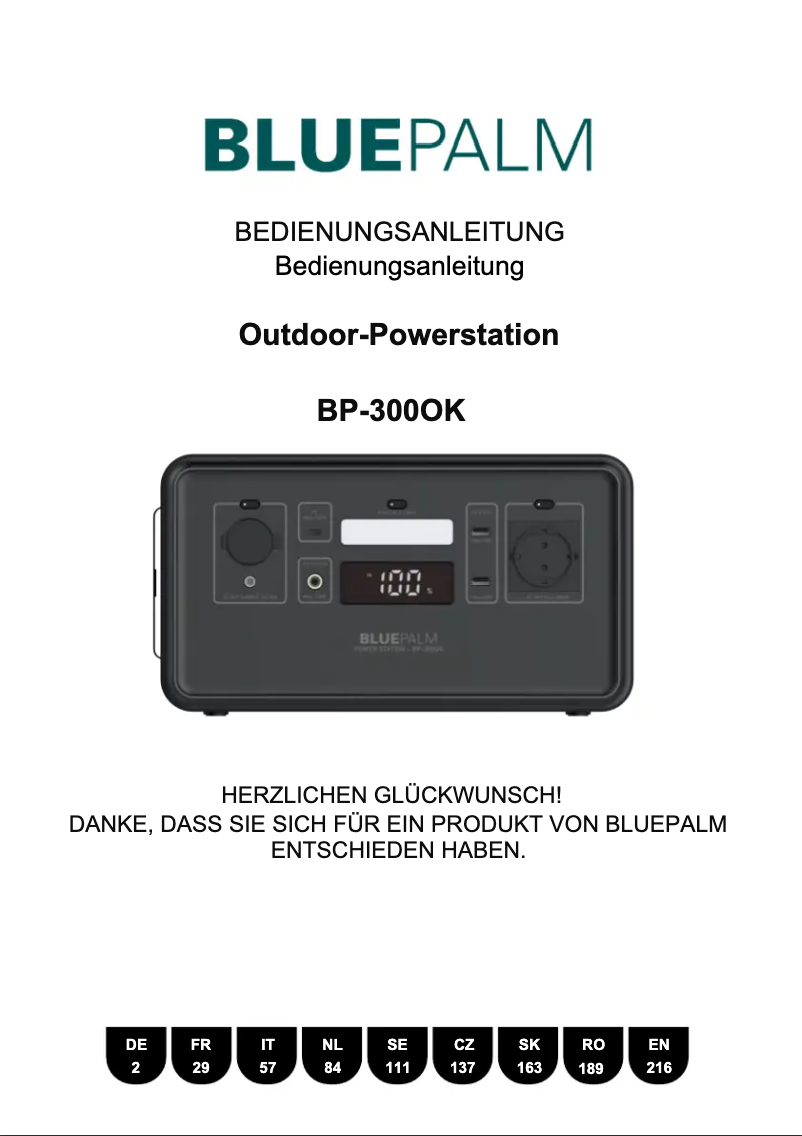 Página 1 del manual Manual de usuario BLUEPALM BP-300OK