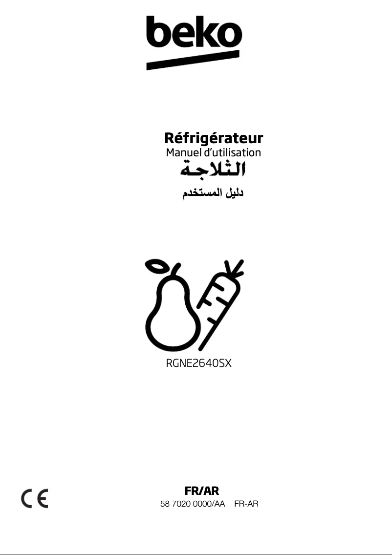 Image de la première page du manuel de l'appareil RGNE2640SX